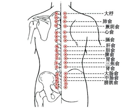 背穴|背俞